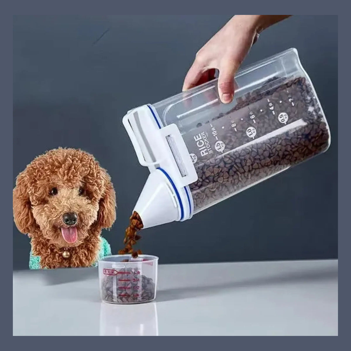 Recipiente De Alimentos mascotas portátil